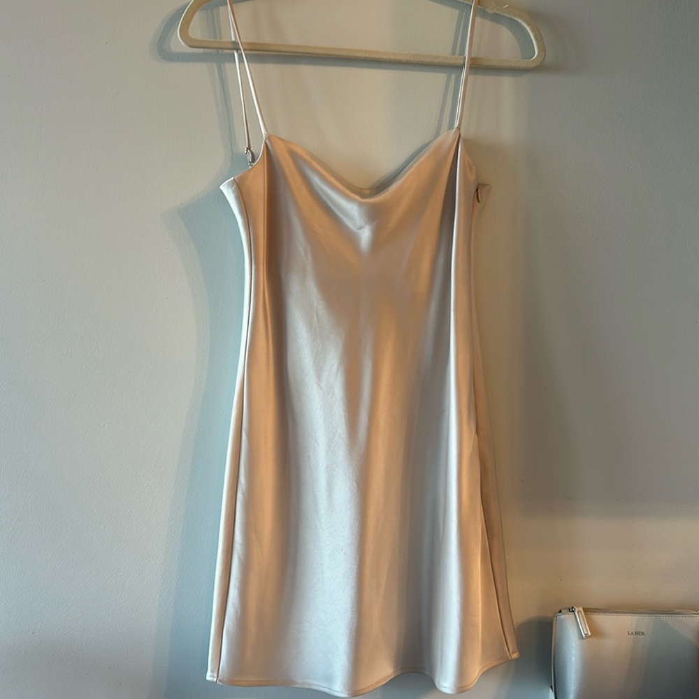 Aritzia Babaton slip dress
